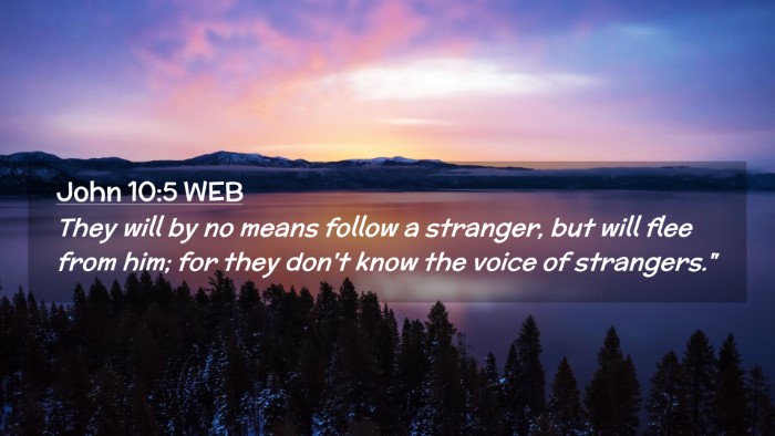 Picture 02 - John 10:5 WEB Desktop Wallpaper - They will by no means follow a stranger, but will - Desktop Bible Verse Wallpaper