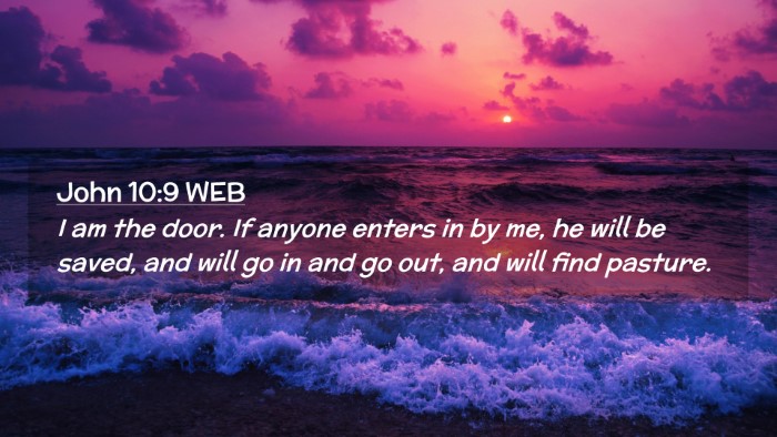 Picture 02 - John 10:9 WEB Desktop Wallpaper - I am the door. If anyone enters in by me, he will - Desktop Bible Verse Wallpaper