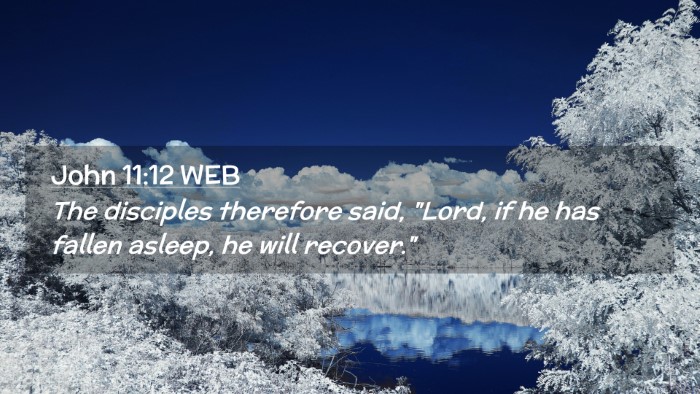 Picture 02 - John 11:12 WEB Desktop Wallpaper - The disciples therefore said, 