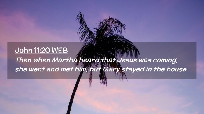 Picture 02 - John 11:20 WEB Desktop Wallpaper - Then when Martha heard that Jesus was coming, she - Desktop Bible Verse Wallpaper