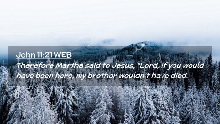 Picture 02 - John 11:21 WEB Desktop Wallpaper - Therefore Martha said to Jesus, 