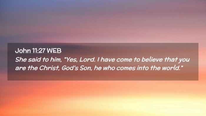 Picture 02 - John 11:27 WEB Desktop Wallpaper - She said to him, 