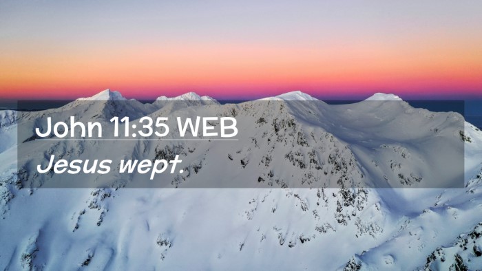 Picture 02 - John 11:35 WEB Desktop Wallpaper - Jesus - Desktop Bible Verse Wallpaper