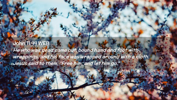 Picture 02 - John 11:44 WEB Desktop Wallpaper - He who was dead came out, bound hand and foot - Desktop Bible Verse Wallpaper