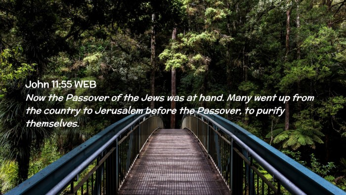 Picture 02 - John 11:55 WEB Desktop Wallpaper - Now the Passover of the Jews was at hand. Many - Desktop Bible Verse Wallpaper