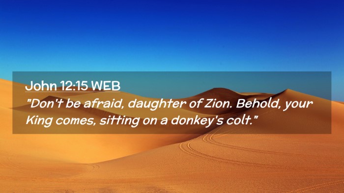 Picture 02 - John 12:15 WEB Desktop Wallpaper - 