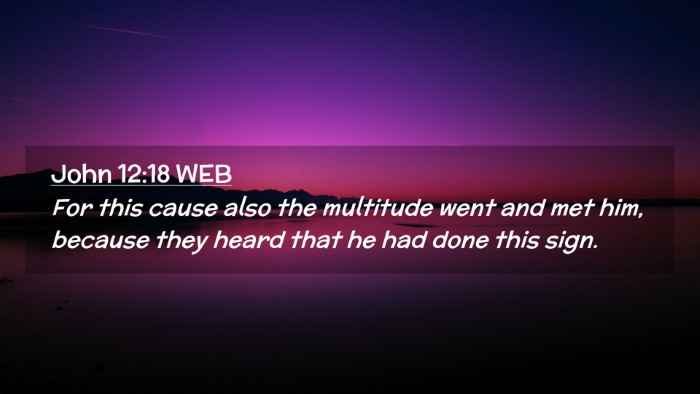 Picture 02 - John 12:18 WEB Desktop Wallpaper - For this cause also the multitude went and met - Desktop Bible Verse Wallpaper