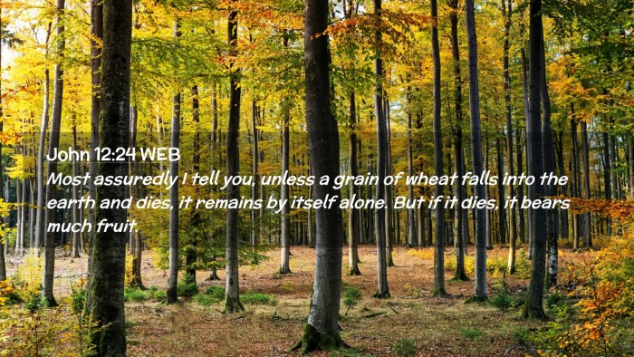 Picture 02 - John 12:24 WEB Desktop Wallpaper - Most assuredly I tell you, unless a grain of - Desktop Bible Verse Wallpaper