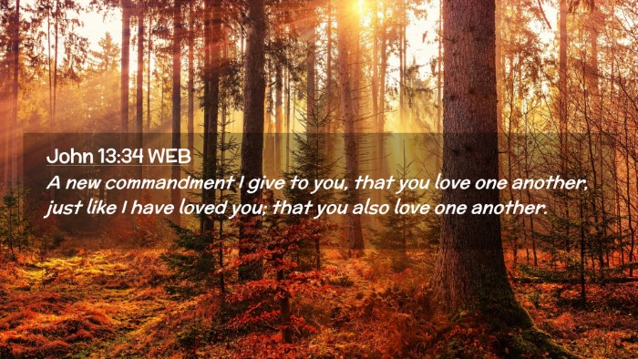 Picture 02 - John 13:34 WEB Desktop Wallpaper - A new commandment I give to you, that you love - Desktop Bible Verse Wallpaper