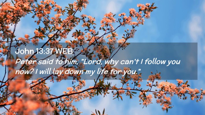 Picture 02 - John 13:37 WEB Desktop Wallpaper - Peter said to him, 