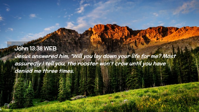Picture 02 - John 13:38 WEB Desktop Wallpaper - Jesus answered him, 