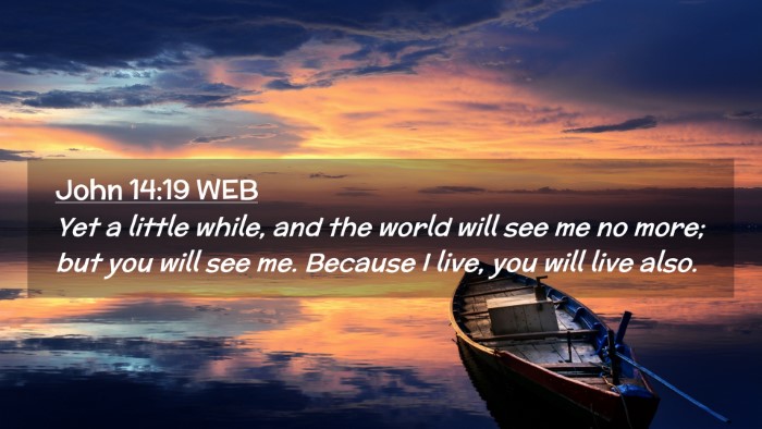Picture 02 - John 14:19 WEB Desktop Wallpaper - Yet a little while, and the world will see me no - Desktop Bible Verse Wallpaper