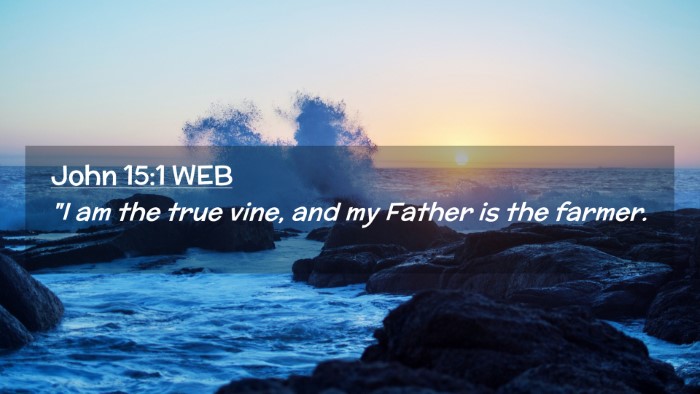 Picture 02 - John 15:1 WEB Desktop Wallpaper - 