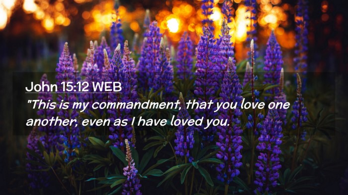 Picture 02 - John 15:12 WEB Desktop Wallpaper - 