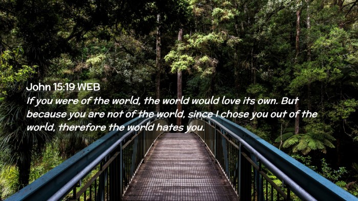 Picture 02 - John 15:19 WEB Desktop Wallpaper - If you were of the world, the world would love - Desktop Bible Verse Wallpaper