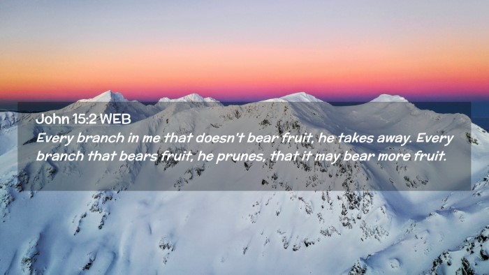 Picture 02 - John 15:2 WEB Desktop Wallpaper - Every branch in me that doesn't bear fruit, he - Desktop Bible Verse Wallpaper