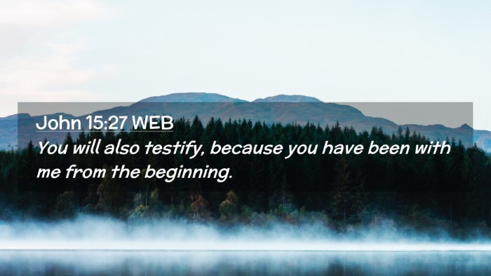 Picture 02 - John 15:27 WEB Desktop Wallpaper - You will also testify, because you have been with - Desktop Bible Verse Wallpaper