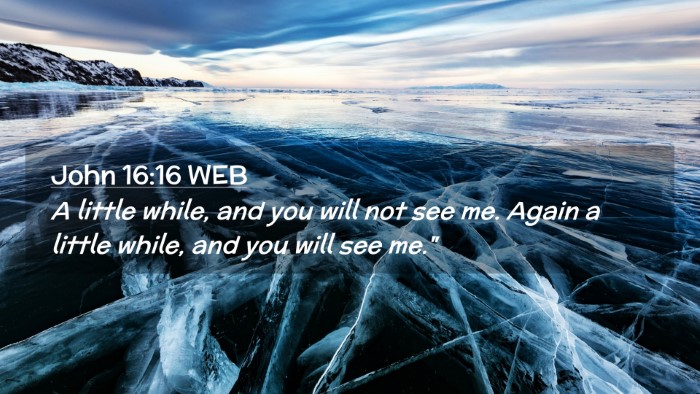 Picture 02 - John 16:16 WEB Desktop Wallpaper - A little while, and you will not see me. Again a - Desktop Bible Verse Wallpaper