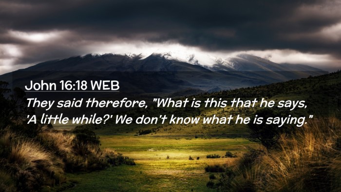 Picture 02 - John 16:18 WEB Desktop Wallpaper - They said therefore, 