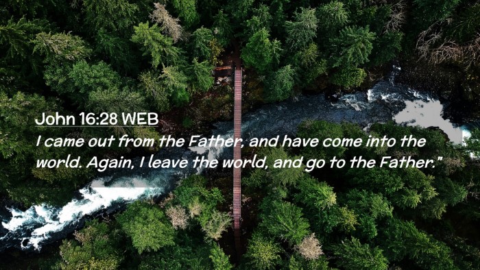 Picture 02 - John 16:28 WEB Desktop Wallpaper - I came out from the Father, and have come into - Desktop Bible Verse Wallpaper