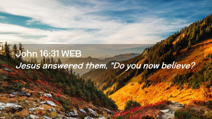 Picture 02 - John 16:31 WEB Desktop Wallpaper - Jesus answered them, 