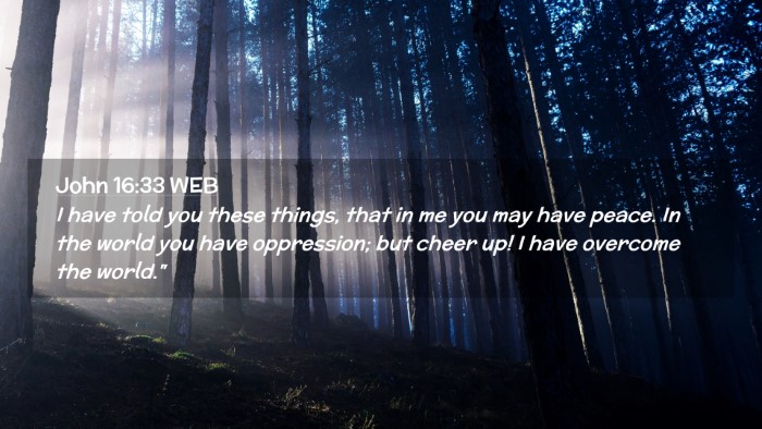 Picture 02 - John 16:33 WEB Desktop Wallpaper - I have told you these things, that in me you may - Desktop Bible Verse Wallpaper