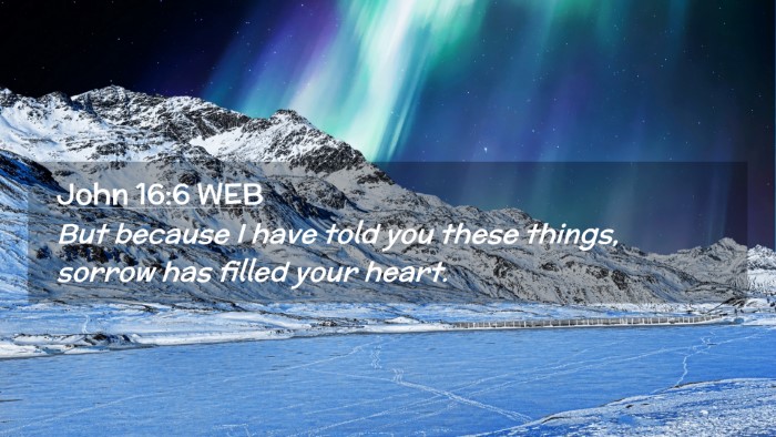 Picture 02 - John 16:6 WEB Desktop Wallpaper - But because I have told you these things, sorrow - Desktop Bible Verse Wallpaper