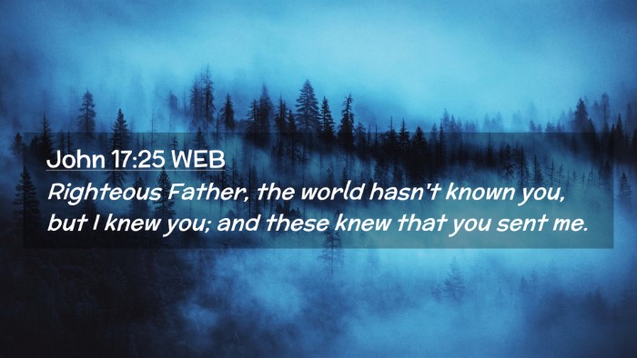 Picture 02 - John 17:25 WEB Desktop Wallpaper - Righteous Father, the world hasn't known you, but - Desktop Bible Verse Wallpaper