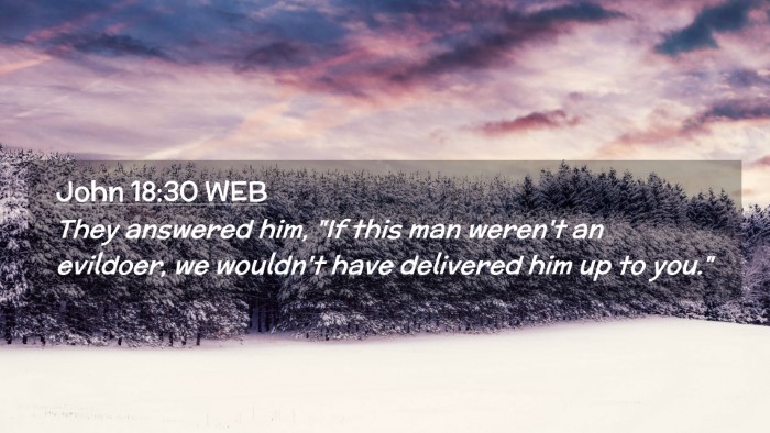 Picture 02 - John 18:30 WEB Desktop Wallpaper - They answered him, 