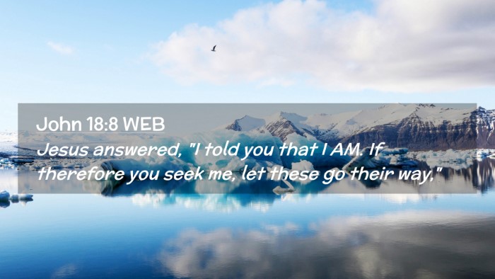 Picture 02 - John 18:8 WEB Desktop Wallpaper - Jesus answered, 