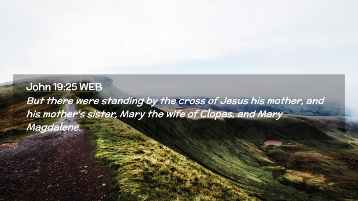 Picture 02 - John 19:25 WEB Desktop Wallpaper - But there were standing by the cross of Jesus his - Desktop Bible Verse Wallpaper