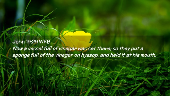 Picture 02 - John 19:29 WEB Desktop Wallpaper - Now a vessel full of vinegar was set there; so - Desktop Bible Verse Wallpaper