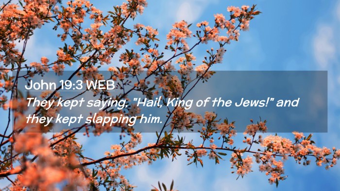 Picture 02 - John 19:3 WEB Desktop Wallpaper - They kept saying, 