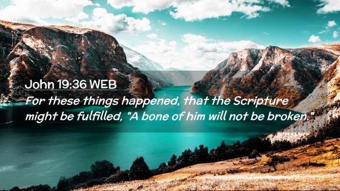 Picture 02 - John 19:36 WEB Desktop Wallpaper - For these things happened, that the Scripture - Desktop Bible Verse Wallpaper