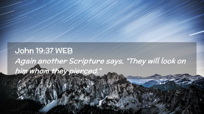 Picture 02 - John 19:37 WEB Desktop Wallpaper - Again another Scripture says, 