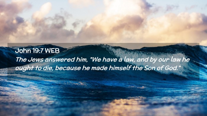 Picture 02 - John 19:7 WEB Desktop Wallpaper - The Jews answered him, 