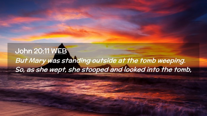 Picture 02 - John 20:11 WEB Desktop Wallpaper - But Mary was standing outside at the tomb - Desktop Bible Verse Wallpaper