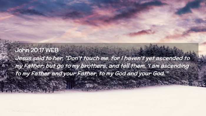 Picture 02 - John 20:17 WEB Desktop Wallpaper - Jesus said to her, 