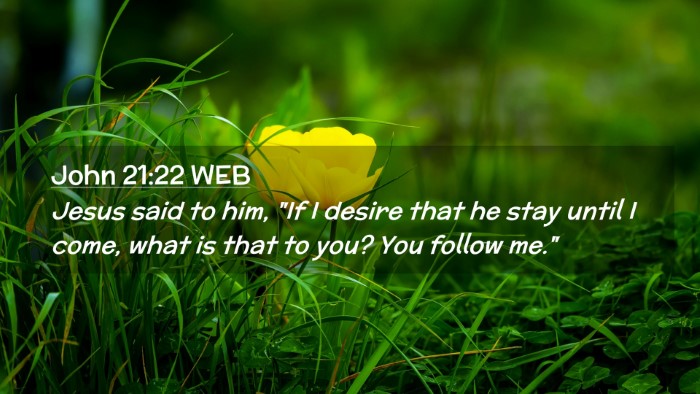 Picture 02 - John 21:22 WEB Desktop Wallpaper - Jesus said to him, 