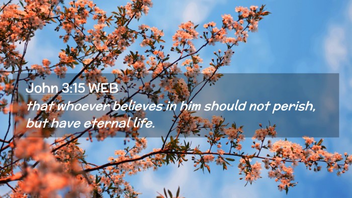 Picture 02 - John 3:15 WEB Desktop Wallpaper - that whoever believes in him should not perish, - Desktop Bible Verse Wallpaper