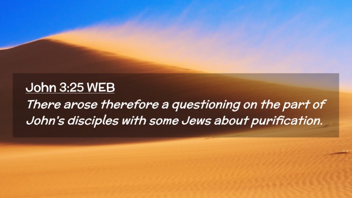 Picture 02 - John 3:25 WEB Desktop Wallpaper - There arose therefore a questioning on the part - Desktop Bible Verse Wallpaper