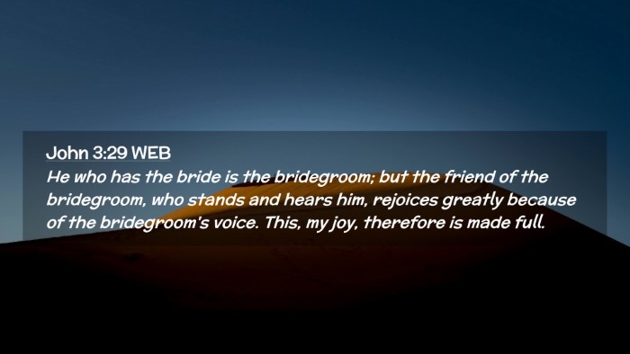 Picture 02 - John 3:29 WEB Desktop Wallpaper - He who has the bride is the bridegroom; but the - Desktop Bible Verse Wallpaper