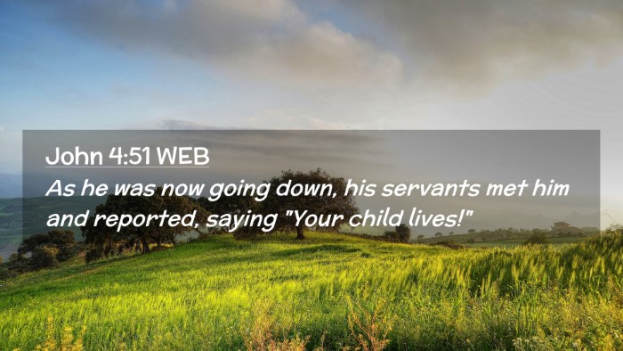 Picture 02 - John 4:51 WEB Desktop Wallpaper - As he was now going down, his servants met him - Desktop Bible Verse Wallpaper