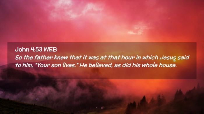 Picture 02 - John 4:53 WEB Desktop Wallpaper - So the father knew that it was at that hour in - Desktop Bible Verse Wallpaper