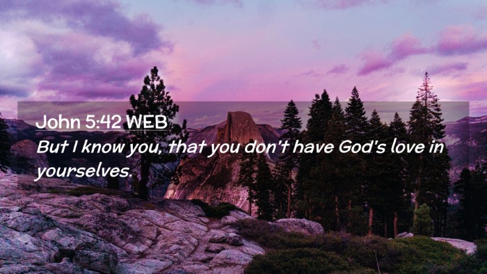 Picture 02 - John 5:42 WEB Desktop Wallpaper - But I know you, that you don't have God's love in - Desktop Bible Verse Wallpaper