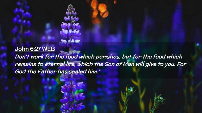 Picture 02 - John 6:27 WEB Desktop Wallpaper - Don't work for the food which perishes, but for - Desktop Bible Verse Wallpaper