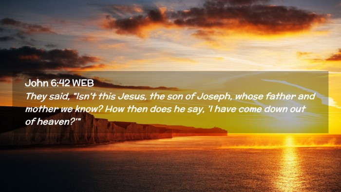 Picture 02 - John 6:42 WEB Desktop Wallpaper - They said, 