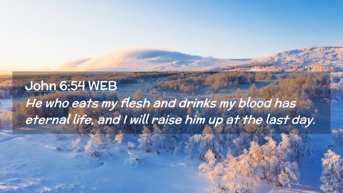 Picture 02 - John 6:54 WEB Desktop Wallpaper - He who eats my flesh and drinks my blood has - Desktop Bible Verse Wallpaper