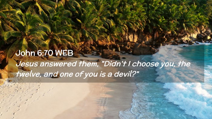 Picture 02 - John 6:70 WEB Desktop Wallpaper - Jesus answered them, 