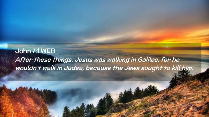Picture 02 - John 7:1 WEB Desktop Wallpaper - After these things, Jesus was walking in Galilee, - Desktop Bible Verse Wallpaper